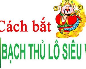 Xem xét lên kế hoạch kỹ càng khi bắt bạch thủ lô VIP